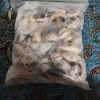 قارچ