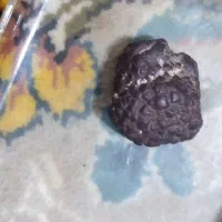 شهاب سنگ|کلکسیون و سرگرمی|اسفراین, |دیوار