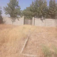 باغچه1000متری-بابهر20
