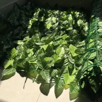 دیوار سبز آرا گرین وال رولی و پنلی