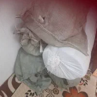 پارچهپالتویی