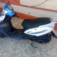 پاکشتی برمودا