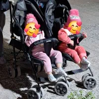 کالسکه دوقلویی کنارهم|کالسکه و لوازم جانبی|شیراز, کوشک میدان|دیوار