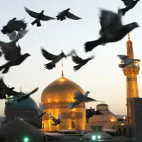 تور ویژه مشهد مقدس