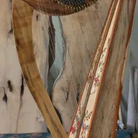 ساز چنگ(هارپ) سلتیک برند نقابی|گیتار، بیس، امپلیفایر|گرگان, |دیوار