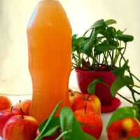 تولید سرکه سیب