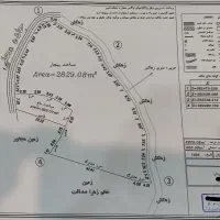 زمین شالیزار