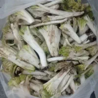 کنگرتازه وتمیزشده150هزارخوش تام25کیلو