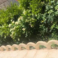 استخدام سرایدار
