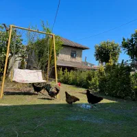 سویت تک خواب نزدیک ساحل|اجارهٔ کوتاهمدت آپارتمان و سوئیت|چابکسر, |دیوار