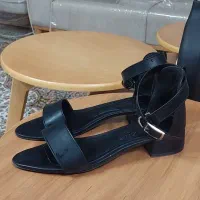 کفش مجلسی