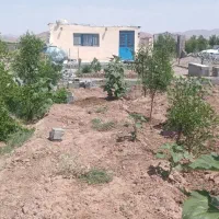 فروش باغ 800متری