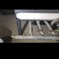 دیگ 1000لبتری گلابگیری