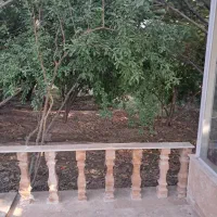 فروش-باغچه-700متری-نسه