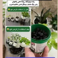 120عددقرص کودارگانیک