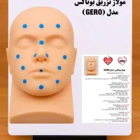 انواع مولاژ CPR و مولاژ تزریقات ودیگر موارد آموزشی|پزشکی|مشهد, کوه سنگی|دیوار