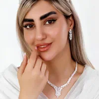 سرویس مجلسی