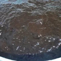 رب انار ترش