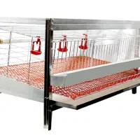 قفس بلدرچین