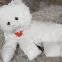 عروسک پولیشی گربه بزرگ