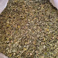 سبزی خشک|خوردنی و آشامیدنی|شیراز, دباغ خانه|دیوار