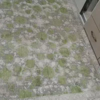 دو عدد فرش|فرش|قرچک, زیبا شهر|دیوار