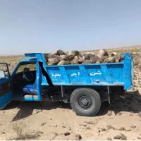 حمل انواع بار با نیسان کمپرسی اتاق بزرگ|خدمات حمل و نقل|خاش, |دیوار