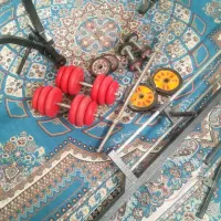 دستگاه بدنسازی|تجهیزات ورزشی|شاندیز, |دیوار