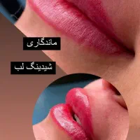 تخفیف یلدایی شیدینگ لب|خدمات آرایشگری و زیبایی|مشهد, شهید رضوی|دیوار