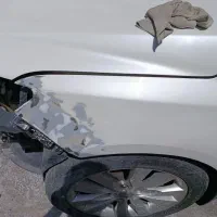 نقاش ماهر و نیمه ماهر