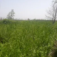 تهاتر و فروش 3000 خانه محوطه سنددار داخل بندرانزلی|فروش زمین و ملک کلنگی|بندر انزلی, سوسر|دیوار