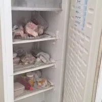 فریزر|یخچال و فریزر|مشهد, حسین‌آباد|دیوار