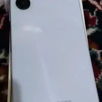 a06