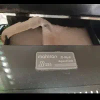 اکواریوم شیشه خم|ماهی|شیراز, کرونی(خاتونک)|دیوار