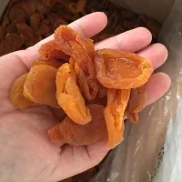 خشکبار خانگی|خوردنی و آشامیدنی|تهران, افسریه جنوبی|دیوار