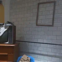 نقاشی ساختمان|خدمات پیشه و مهارت|اردبیل, |دیوار