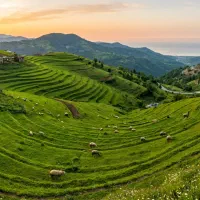 زمین-زراعی-جاده-اردبیل-نمین-2500-متر