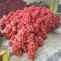 انار کنسانتره ۲۰تن