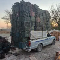 سبد میوه کارتن موز