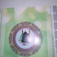 فیش عمره مفرده