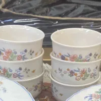 ارکوپال ویکتوریاترشی خوری و بشقاب پلو