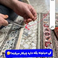 قالیشویی ،مبل شویی وسمپاشی(اعلاء)سرویس رایگان|خدمات نظافت|لاهیجان, شیشه گران|دیوار