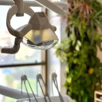 همکاری با ادمین پروژه ای