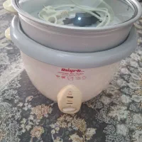 پلوپز برقی