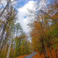 اجاره مغازه