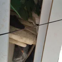 مفت و ارزان یک تخت با نئوپان یک چوب نئوپان|تخت و سرویس خواب|شیراز, بازار|دیوار