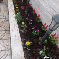 باغبانی سمپاشی تیلرزدن گلکاری کود دهی در تمام نقاط