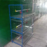 فروش قفس صنعتی اتوماتیک مرغ و بلدرچین و کبک