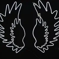 بال فرشته نئونی