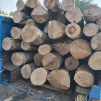 خرید چوب برش درخت هرس درخت